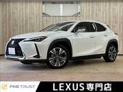 2021 LEXUS UX