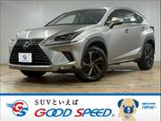 2018 LEXUS NX