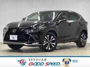 2020 LEXUS NX