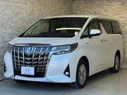 2019 TOYOTA ALPHARD HYBRID