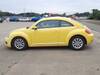 VOLKSWAGEN THE BEETLE