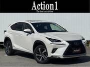 2018 LEXUS NX