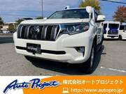 2021 TOYOTA LAND CRUISER PRADO TX