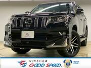 2019 TOYOTA LAND CRUISER PRADO