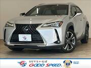 2019 LEXUS UX