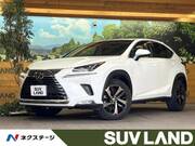 2019 LEXUS NX