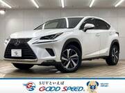 2018 LEXUS NX