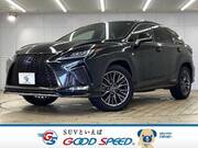 2020 LEXUS RX