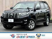 2021 TOYOTA LAND CRUISER PRADO TX
