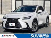 2022 LEXUS NX