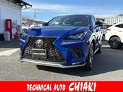2019 LEXUS NX