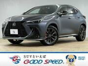 2022 LEXUS NX