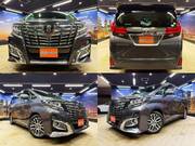 2015 TOYOTA ALPHARD