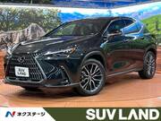 2023 LEXUS NX