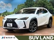 2019 LEXUS UX