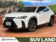 2021 LEXUS UX