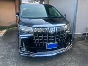 2019 TOYOTA ALPHARD HYBRID