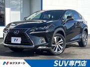 2017 LEXUS NX
