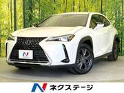 2019 LEXUS UX