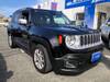 CHRYSLER JEEP RENEGADE