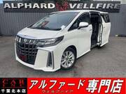 2019 TOYOTA ALPHARD 2.5S