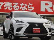 2017 LEXUS NX
