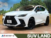 2024 LEXUS NX