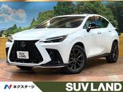 2023 LEXUS NX