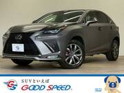 2018 LEXUS NX