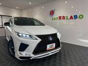 2021 LEXUS RX