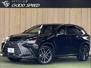 2023 LEXUS NX
