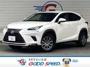 2019 LEXUS NX