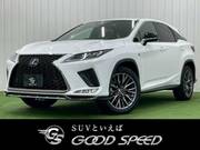 2019 LEXUS RX