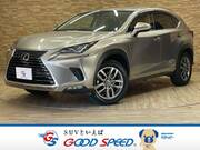 2018 LEXUS NX