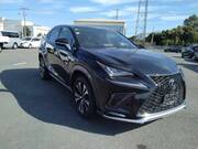 2019 LEXUS NX
