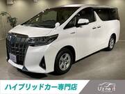2019 TOYOTA ALPHARD