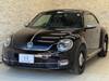 VOLKSWAGEN THE BEETLE