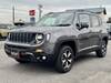 CHRYSLER JEEP RENEGADE