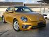 VOLKSWAGEN THE BEETLE