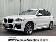 2017 BMW X3