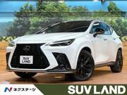 2023 LEXUS NX
