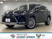 2019 LEXUS RX