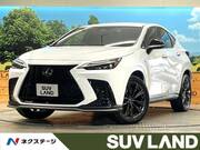 2022 LEXUS NX