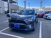 2019 TOYOTA RAV4 X