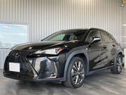 2019 LEXUS UX