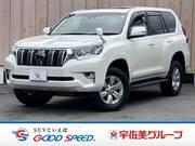 2019 TOYOTA LAND CRUISER PRADO TX