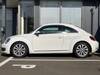 VOLKSWAGEN THE BEETLE