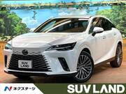 2024 LEXUS RX