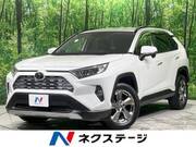 2019 TOYOTA RAV4 G