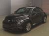 VOLKSWAGEN THE BEETLE